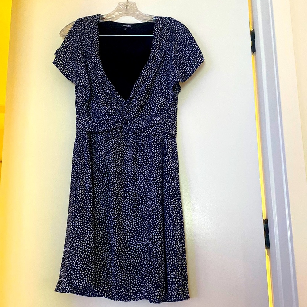 Express Polka Dot Dress